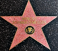 Stern auf dem Hollywood Walk of Fame (Schauspieler) (Stern Nr. 1847)